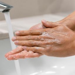 ¡Manos limpias, salud asegurada! Celebra el Día Mundial del Lavado de Manos