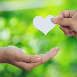 Dona vida, dona visión: Celebra el Día Mundial de la Donación de Órganos y Tejidos.