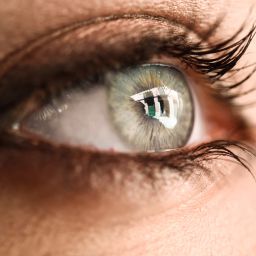 Enfermedades de retina en Bogotá: diagnóstico y tratamiento