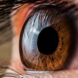 Retina y vítreo en Bogotá: diagnóstico y tratamiento especializado para cuidar tu visión